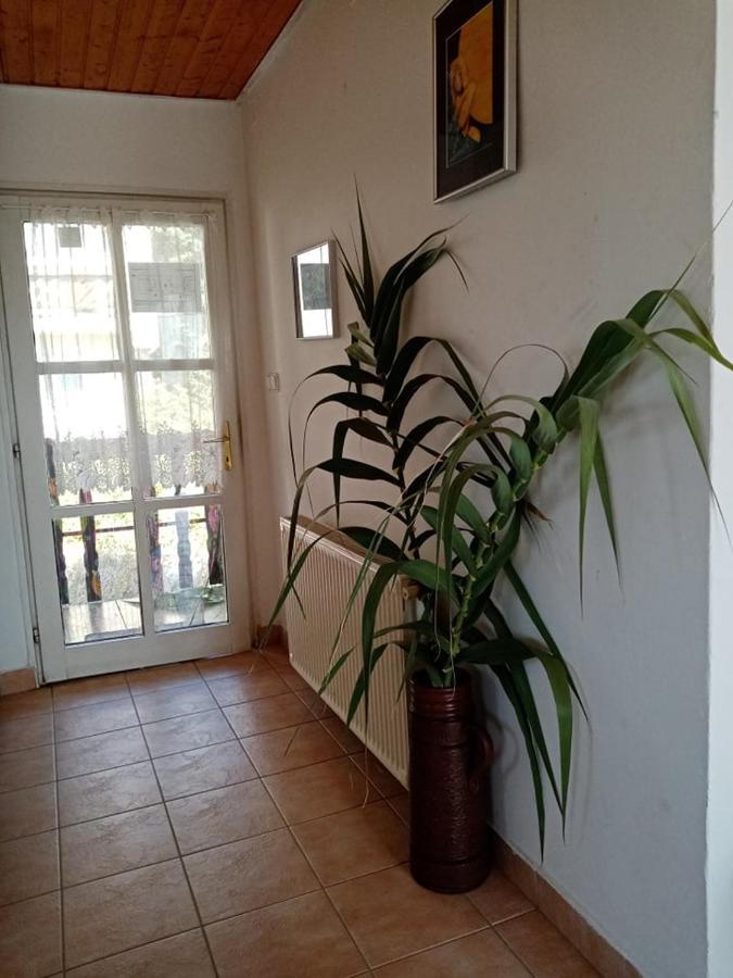 Kekturas-Tora Nyilo Badacsonyi Privat Berlemeny Ξενοδοχείο Badacsonytomaj Εξωτερικό φωτογραφία