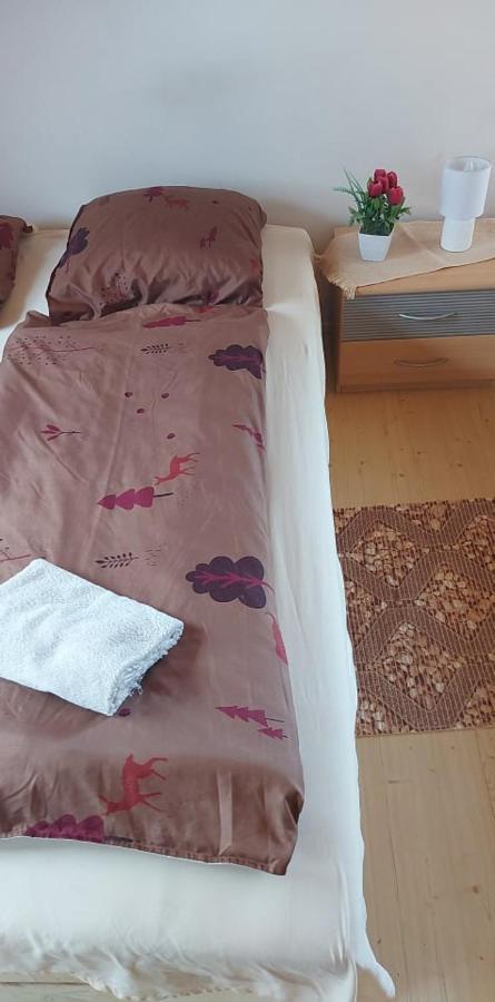 Kekturas-Tora Nyilo Badacsonyi Privat Berlemeny Ξενοδοχείο Badacsonytomaj Εξωτερικό φωτογραφία